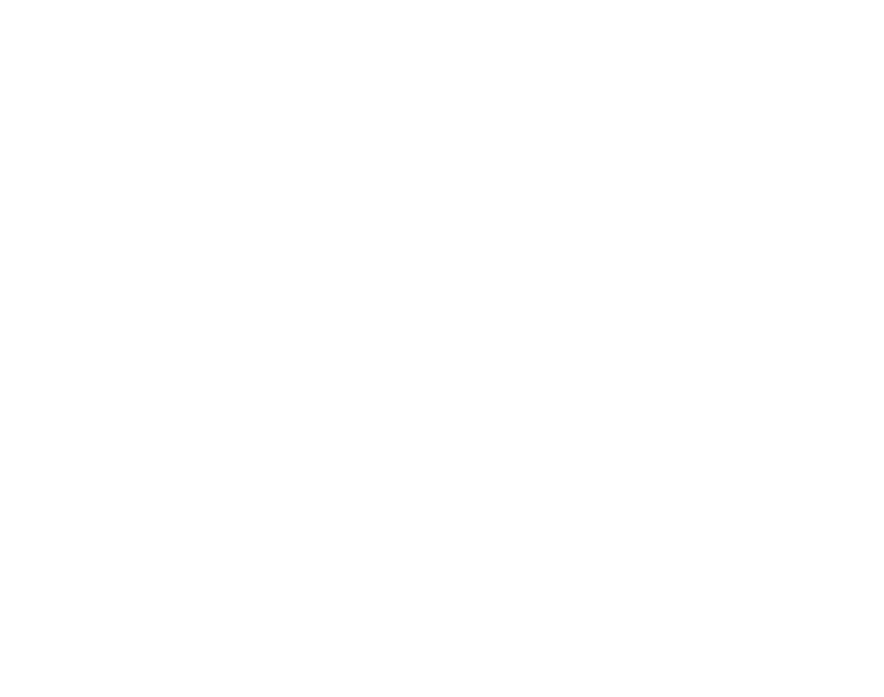 Sigma Eta Pi phoenix